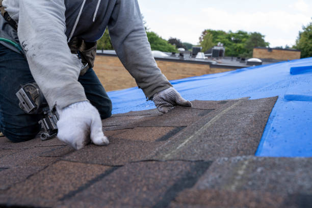 Best Roof Maintenance Services  in Leslie, MI