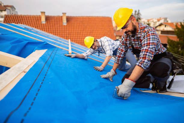 Best Roof Restoration Services  in Leslie, MI